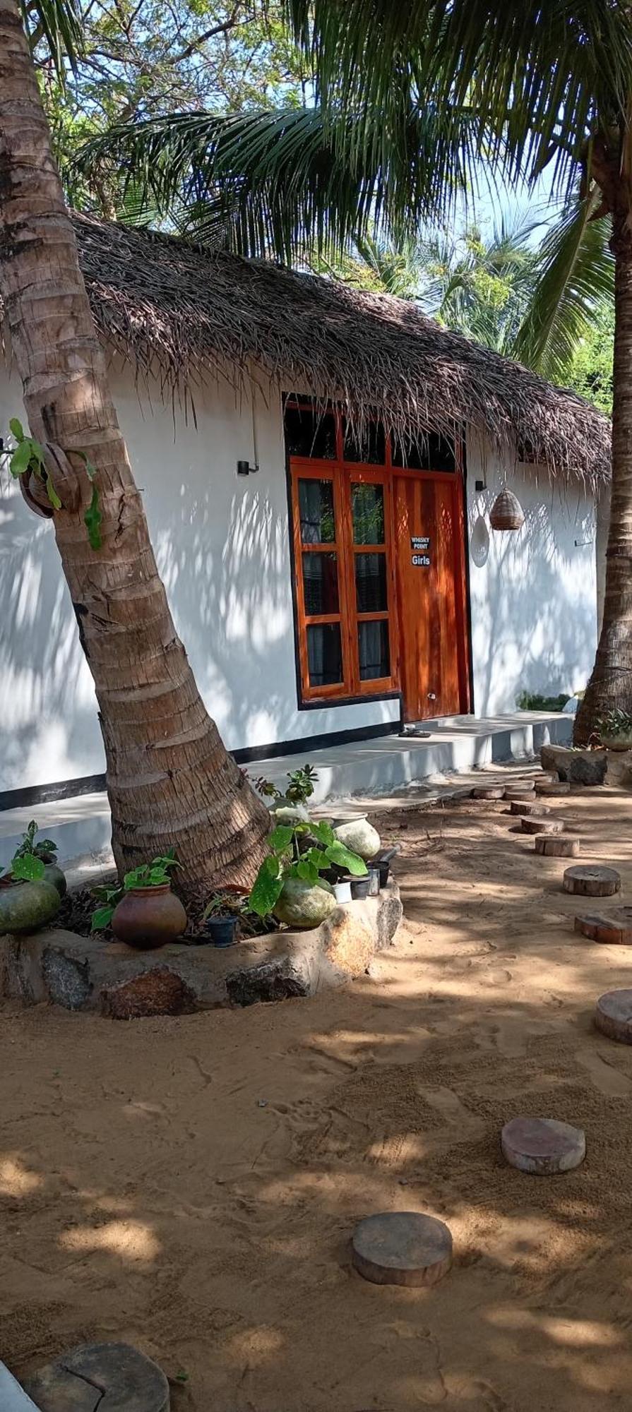Surfing Lion Hostel Arugam Bay Exterior foto