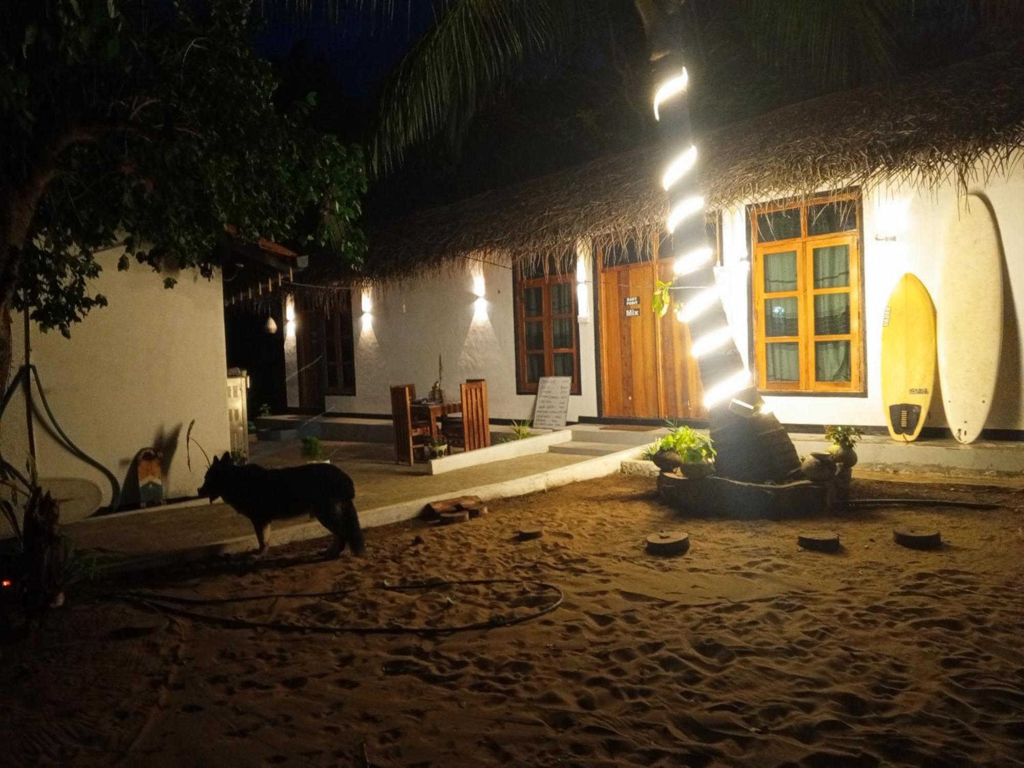 Surfing Lion Hostel Arugam Bay Exterior foto